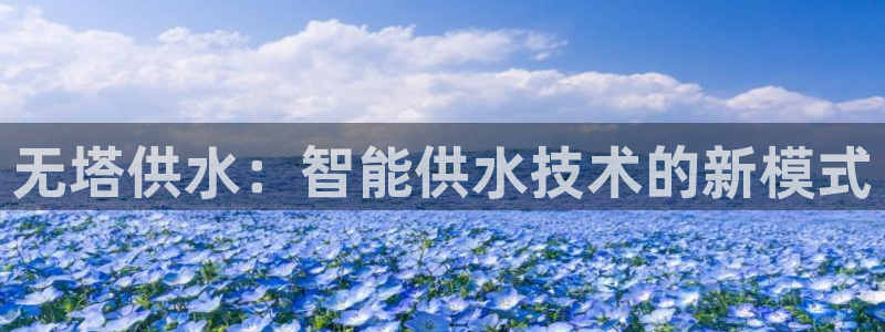 关键词