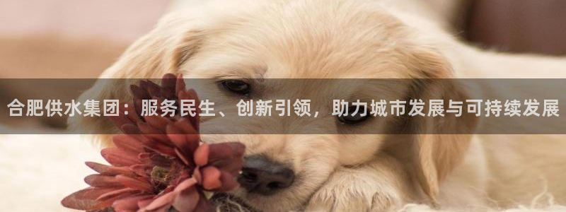球友会app官网下载苹果