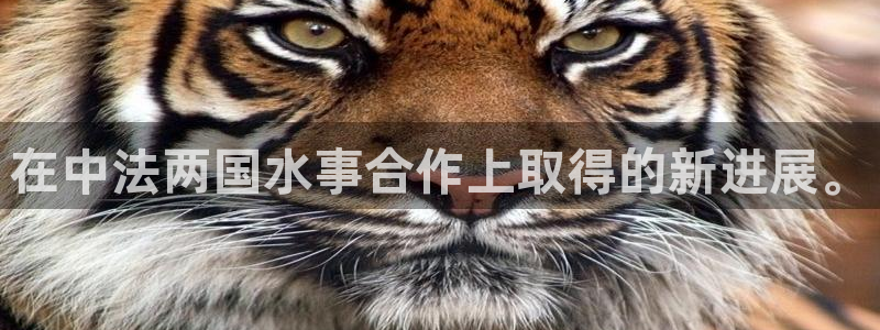 球友会联赛