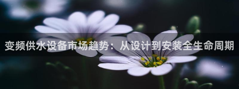 球友会体育app下载安卓