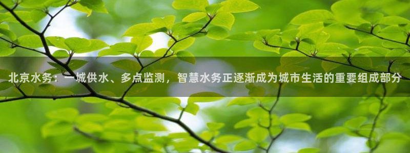 球友会在线登录账号吗安全吗