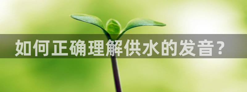 球友会官网入口在哪里