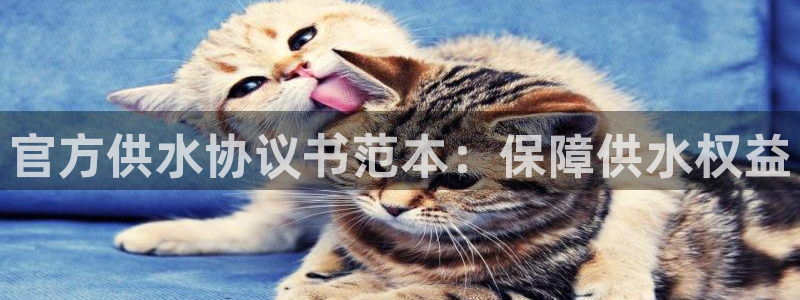 球友会在线登录账号吗安卓