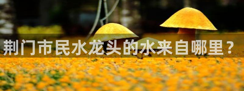 球友会比赛结果查询网站