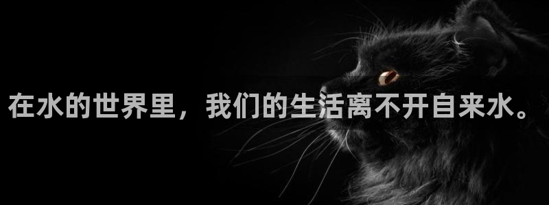球友会FIFA22比赛是否能随机超控