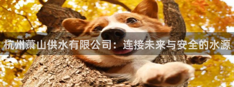 球友会体育app下载安卓手机