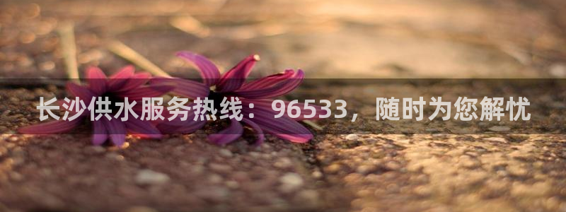 球友会体育app下载官网