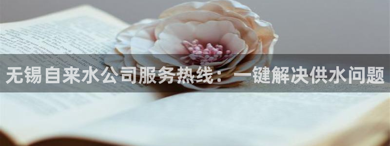 球友会提款审核中