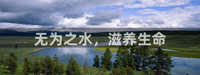 球友会体育app下载安卓最新版